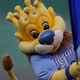 The Royals Have Chickenpox